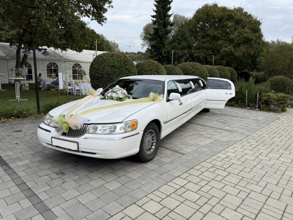 557357660 122161082468683840 8216821097013064172 N 1024x768
